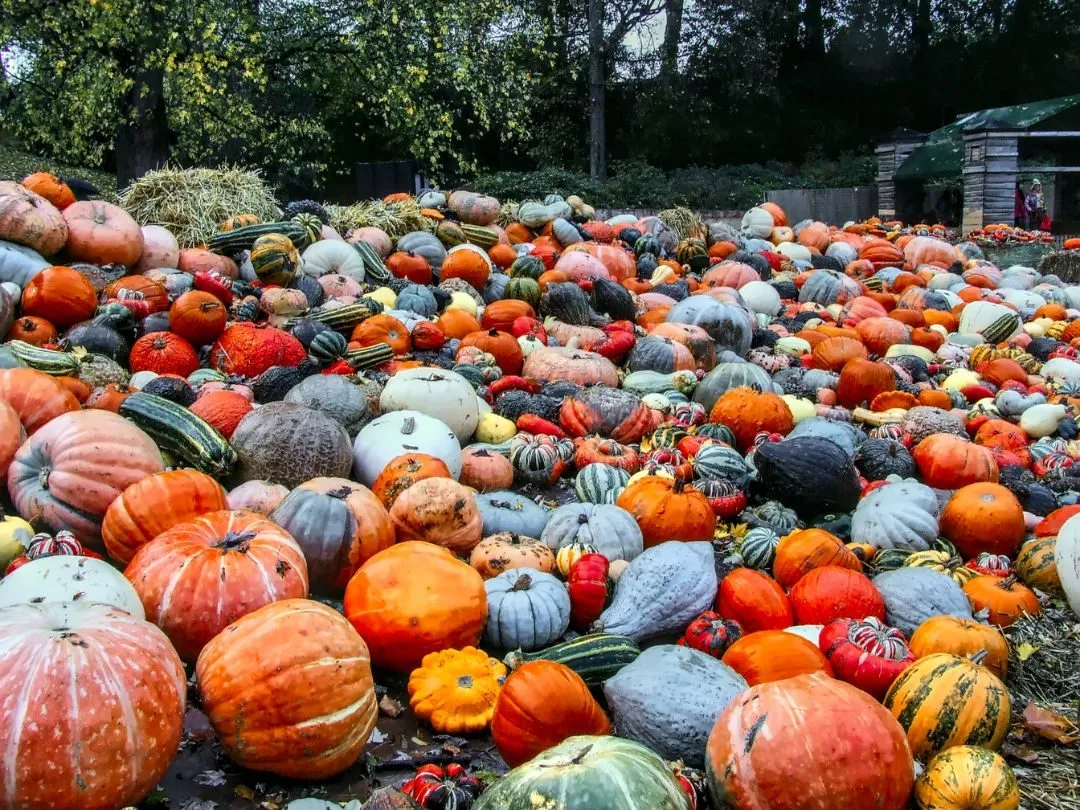 Epic Halloween themed Road trip in Europe
