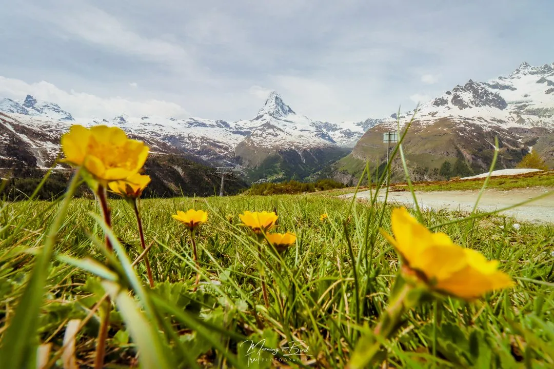 Ultimate Sunnegga Hiking Experience: Trail Guide and Highlights