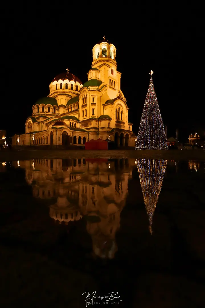 Sofia Cathedral St. Alexander Nevsky at night reflected in a water puddle with a lighted up Christmas tree.