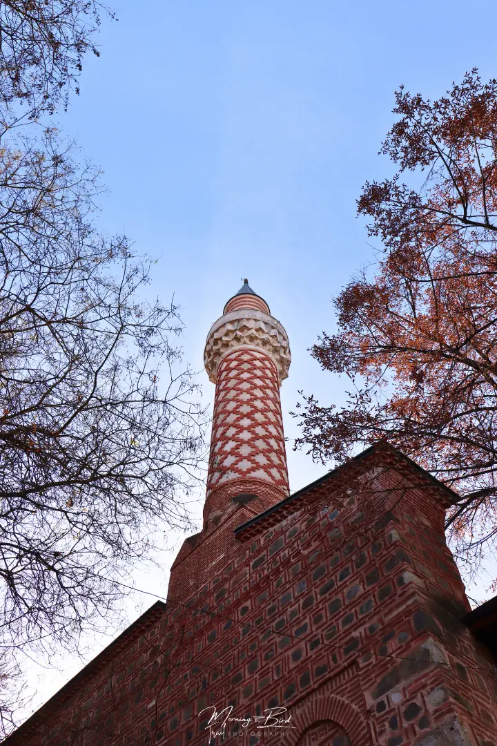 Pink mosque in Plovdiv framed with some reddish branches of trees in winter