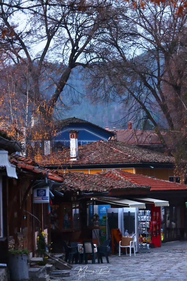 center of the village Koprivshtitsa Village with winter trees, cobblestone street, red roofs in small bulgarian houses. 