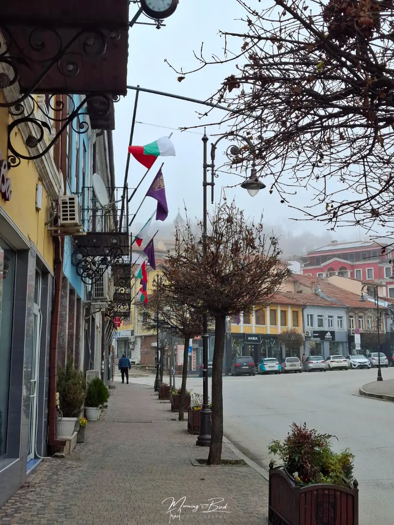 Veliko Tarnovo city centre with colourful small houses and EU and Bulgarian flags. Fog in the background.