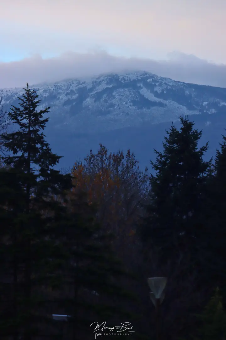Vitosha mountain with a little bit of snow at the top behind the shadow of some trees